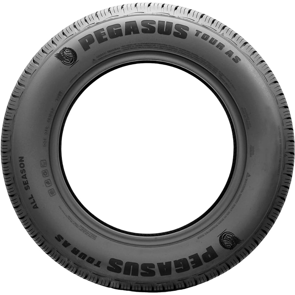 225/60R17 99V Passenger Tire V2501