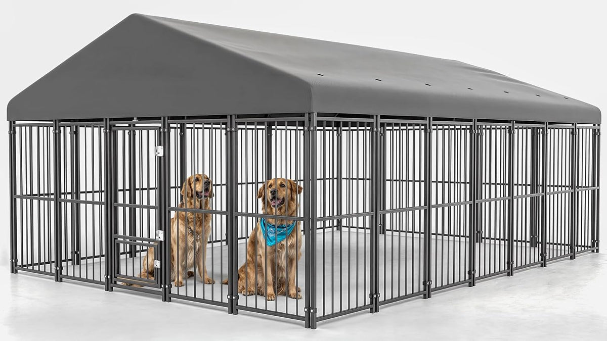 10x14FT Heavy Duty Large Dog Kennel Outdoor C657