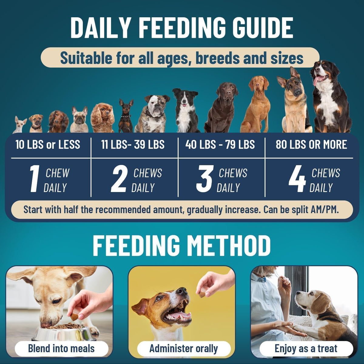 Chewable Flea and Tick Prevention for Dogs V47744