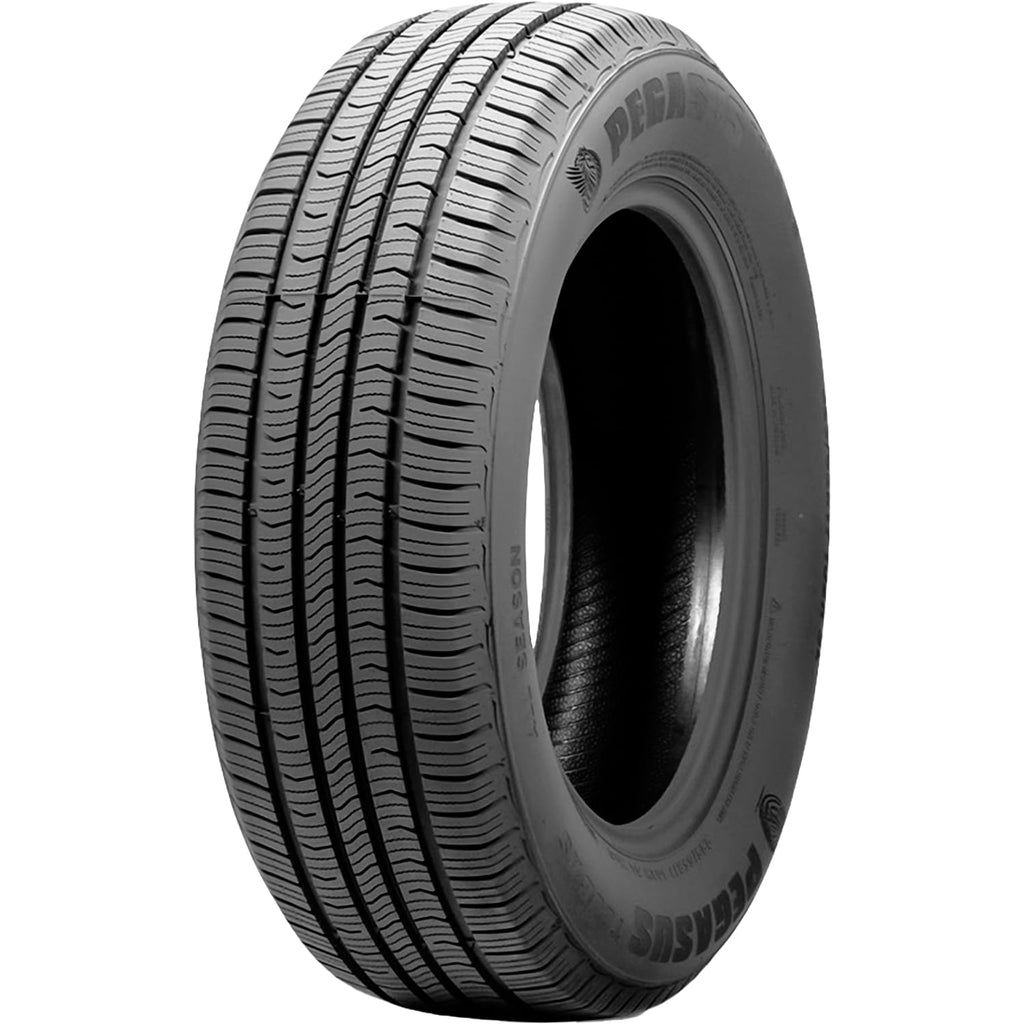 225/60R17 99V Passenger Tire V2501