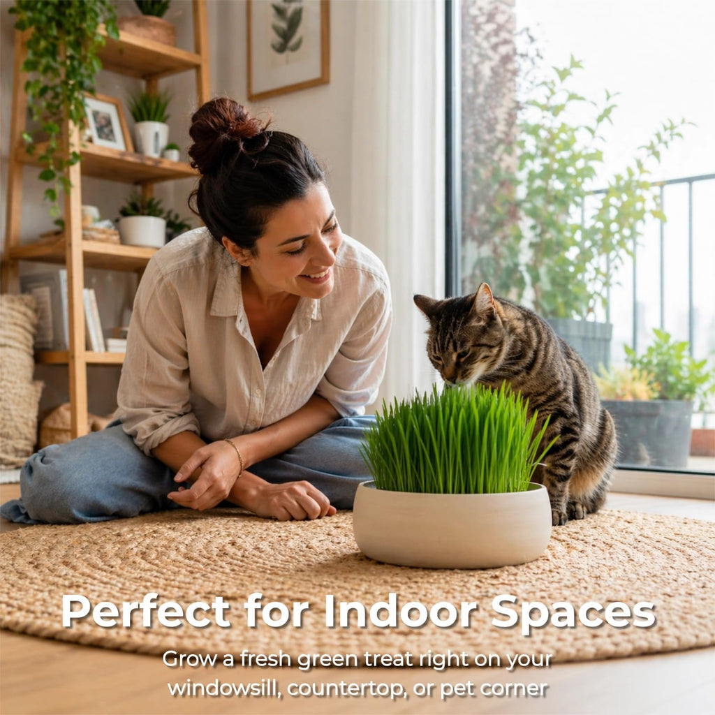 18oz Cat Grass Seeds I236996