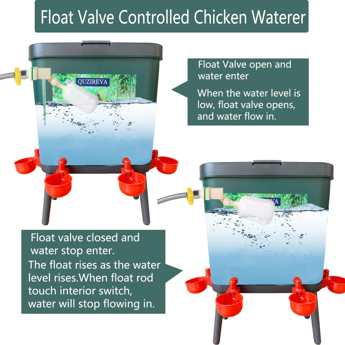 4 Gallon Automatic Float Controlled Poultry Waterer with Hose and Cups X719025
