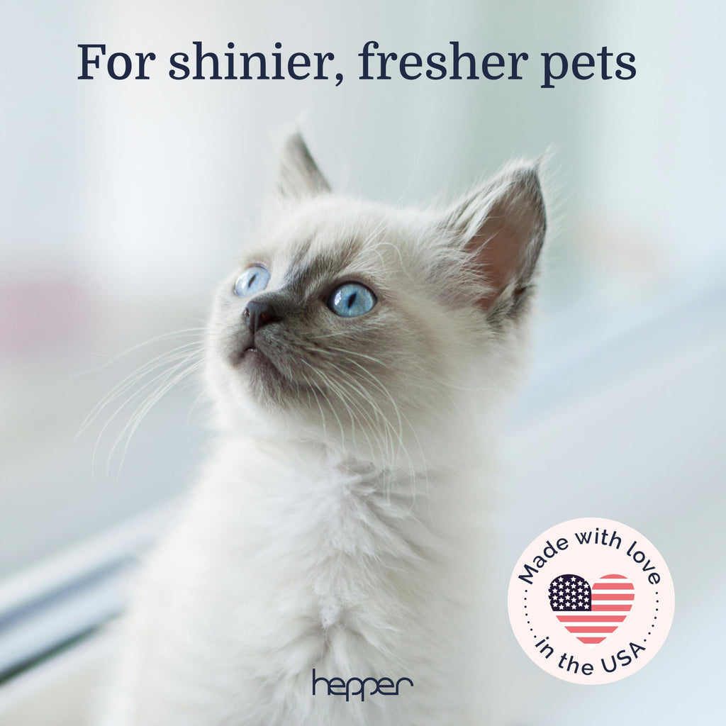 Pet Cologne Spray for Dogs & Cats Cucumber & Aloe 8oz B49304