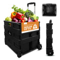 Collapsible 2 Wheel Utility Cart with Telescopic Handle, Black C2717