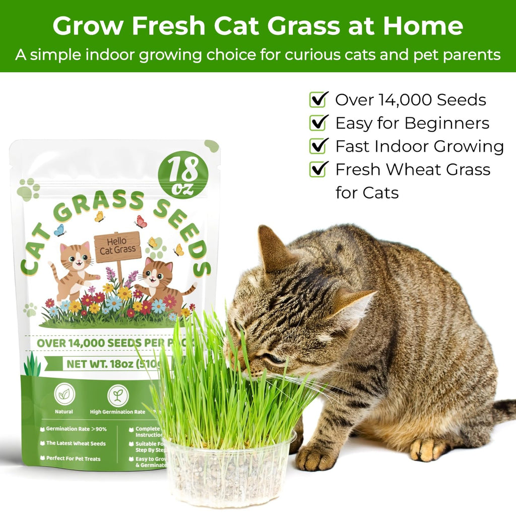 18oz Cat Grass Seeds I236996