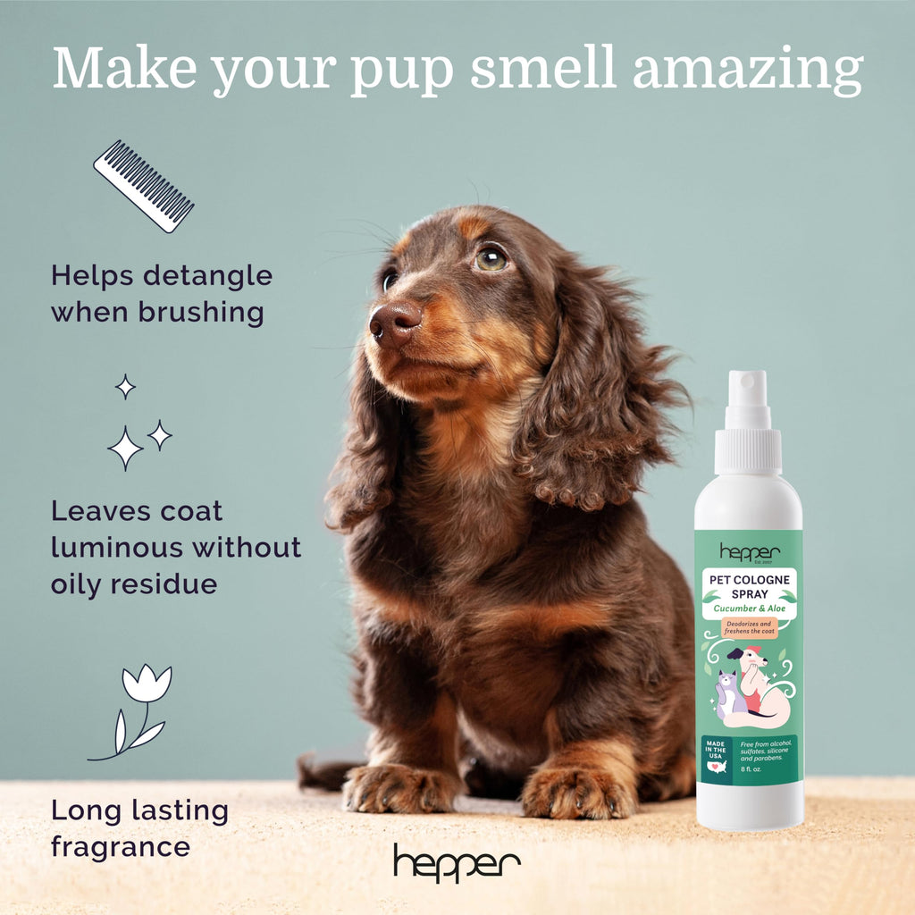Pet Cologne Spray for Dogs & Cats Cucumber & Aloe 8oz B49304