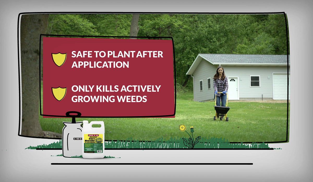 Glyphosate Concentrate Grass & Weed Killer Herbicide, 16-ounce S876870