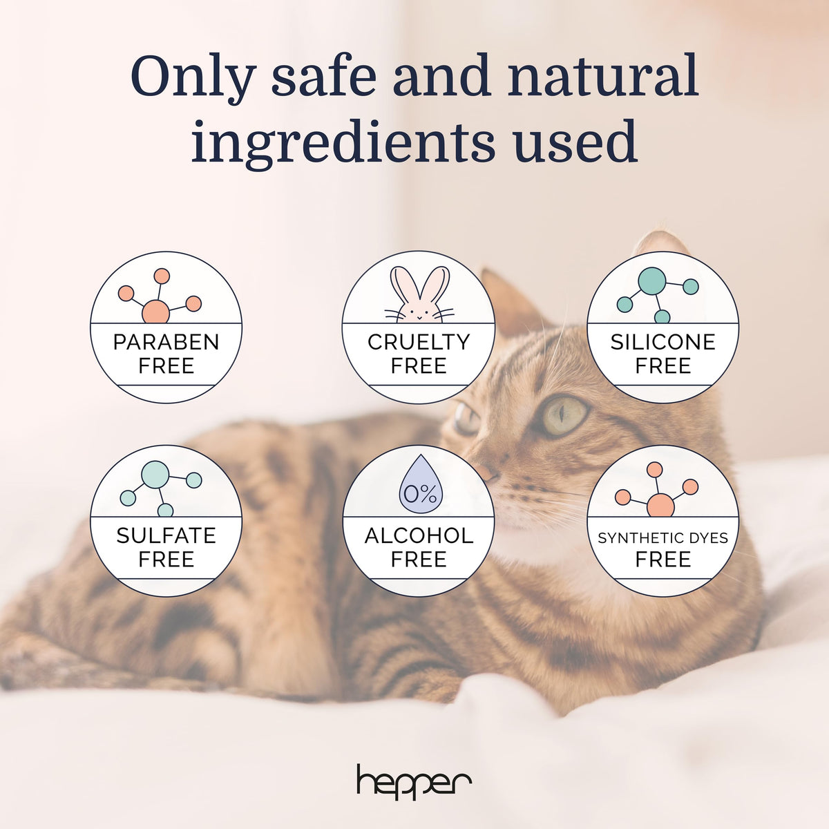 Pet Cologne Spray for Dogs & Cats Cucumber & Aloe 8oz B49304
