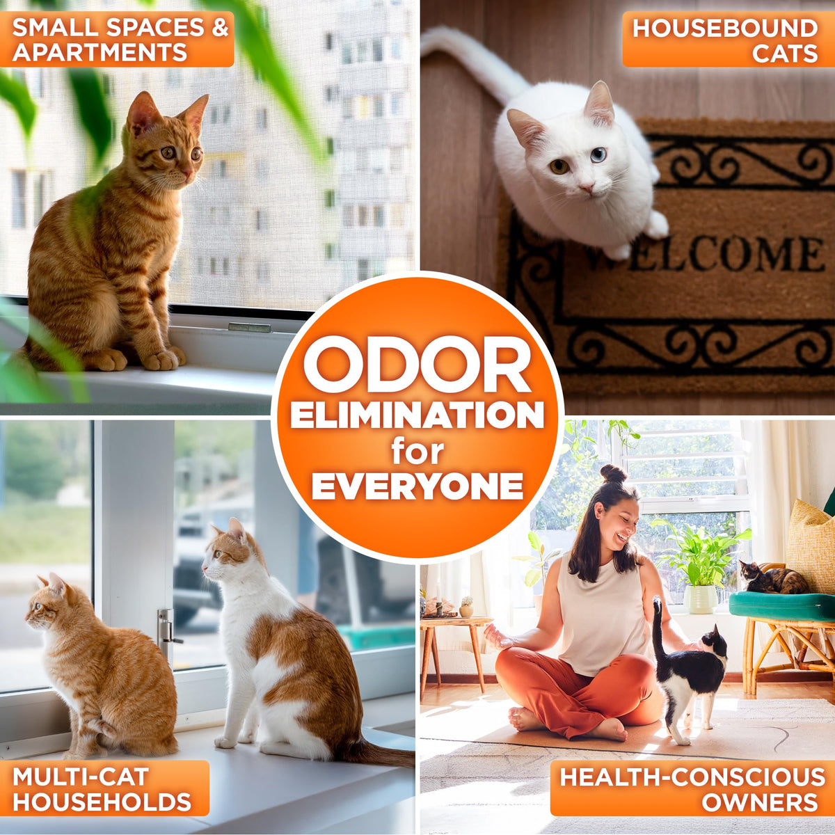 Cat Litter Odor Eliminator Additive 16 fl oz Bottle Q223