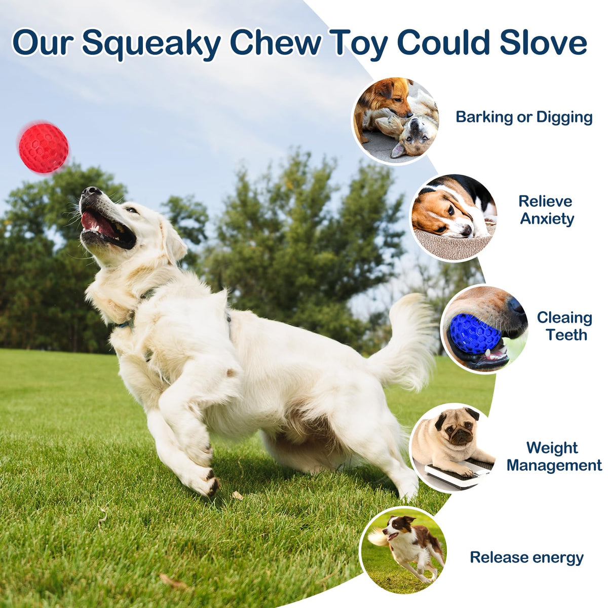 2 Pack Rubber Dog Chew Balls N361327