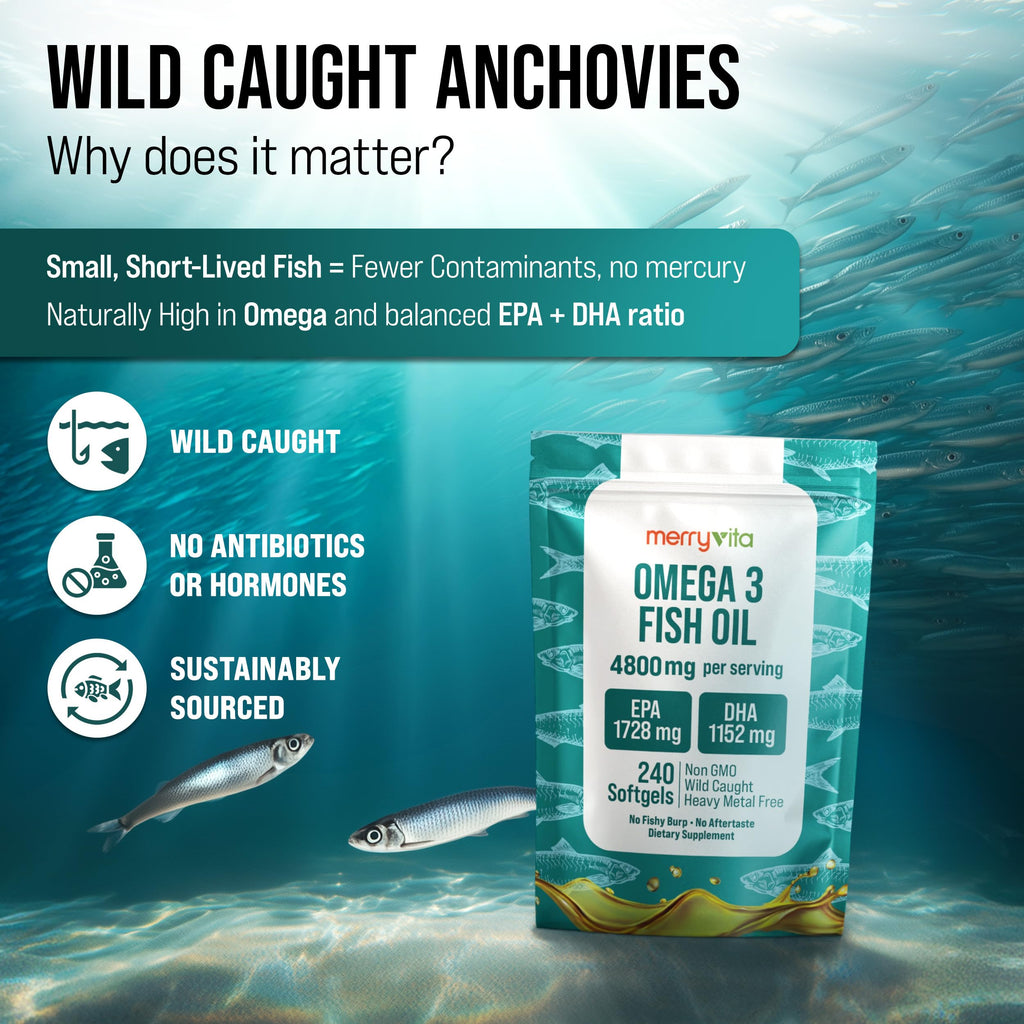 Omega 3 Fish Oil 4800 mg Softgels 240 Capsules N4565
