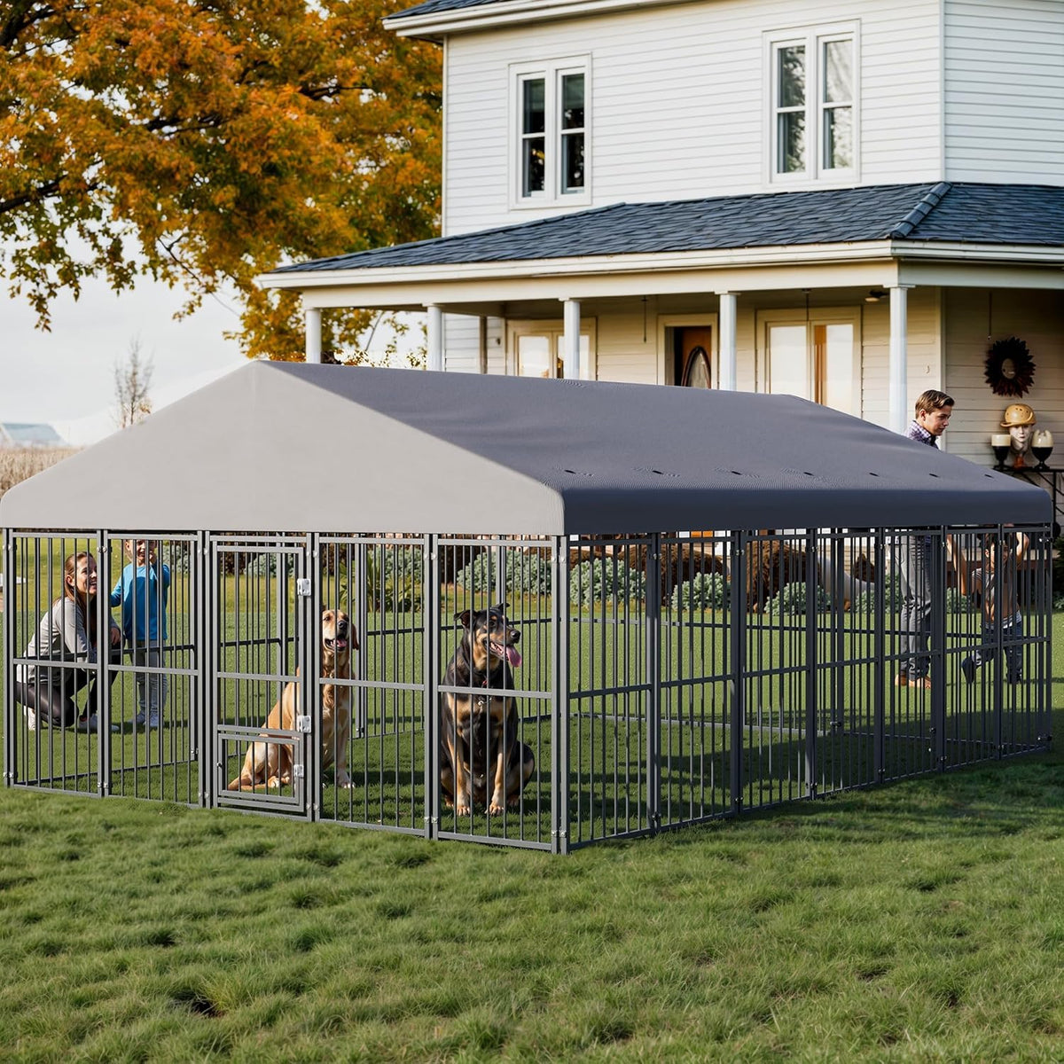 10x14FT Heavy Duty Large Dog Kennel Outdoor C657