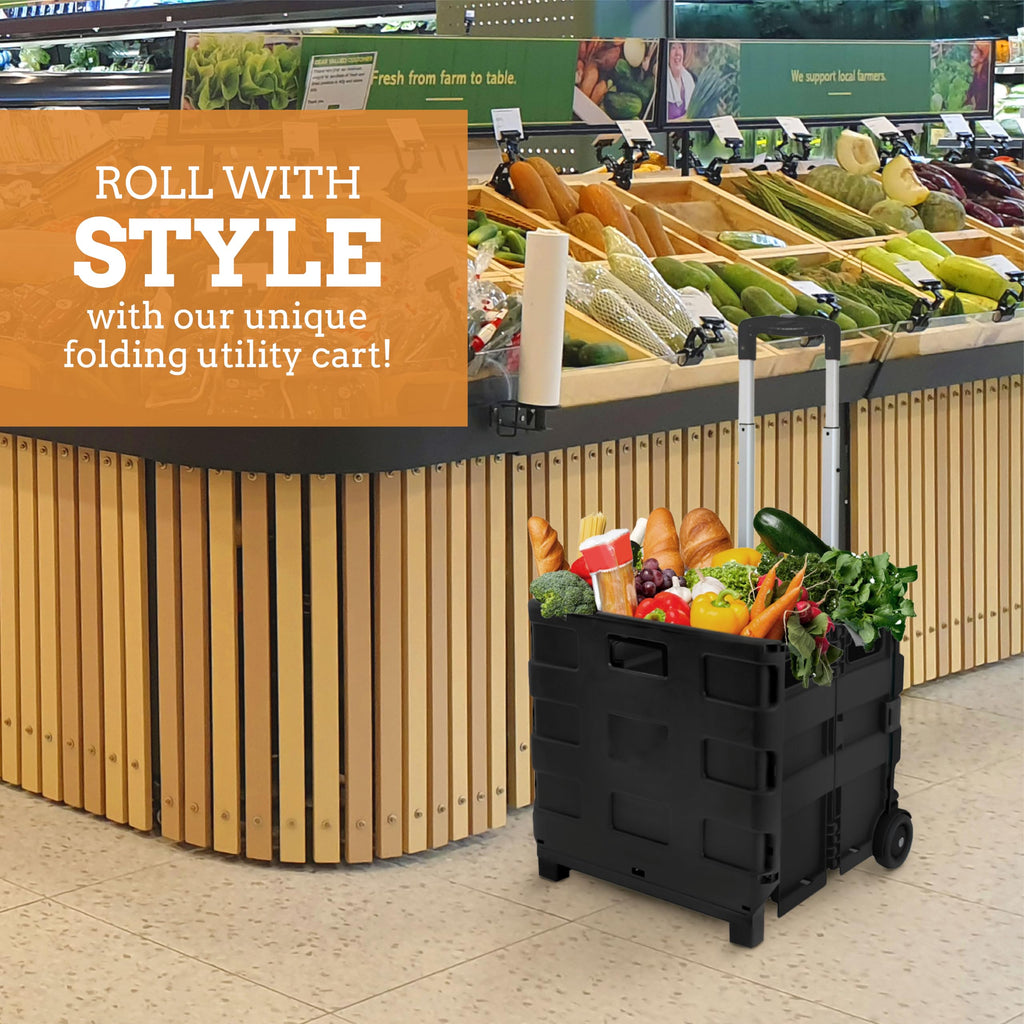 Collapsible 2 Wheel Utility Cart with Telescopic Handle, Black C2717