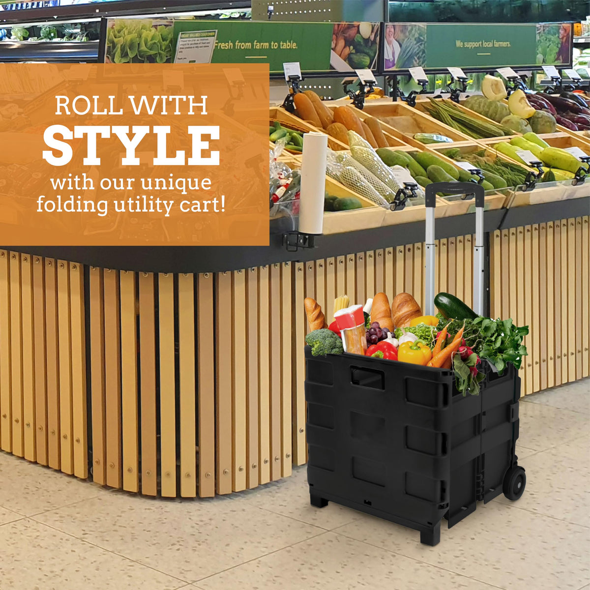 Collapsible 2 Wheel Utility Cart with Telescopic Handle, Black C2717