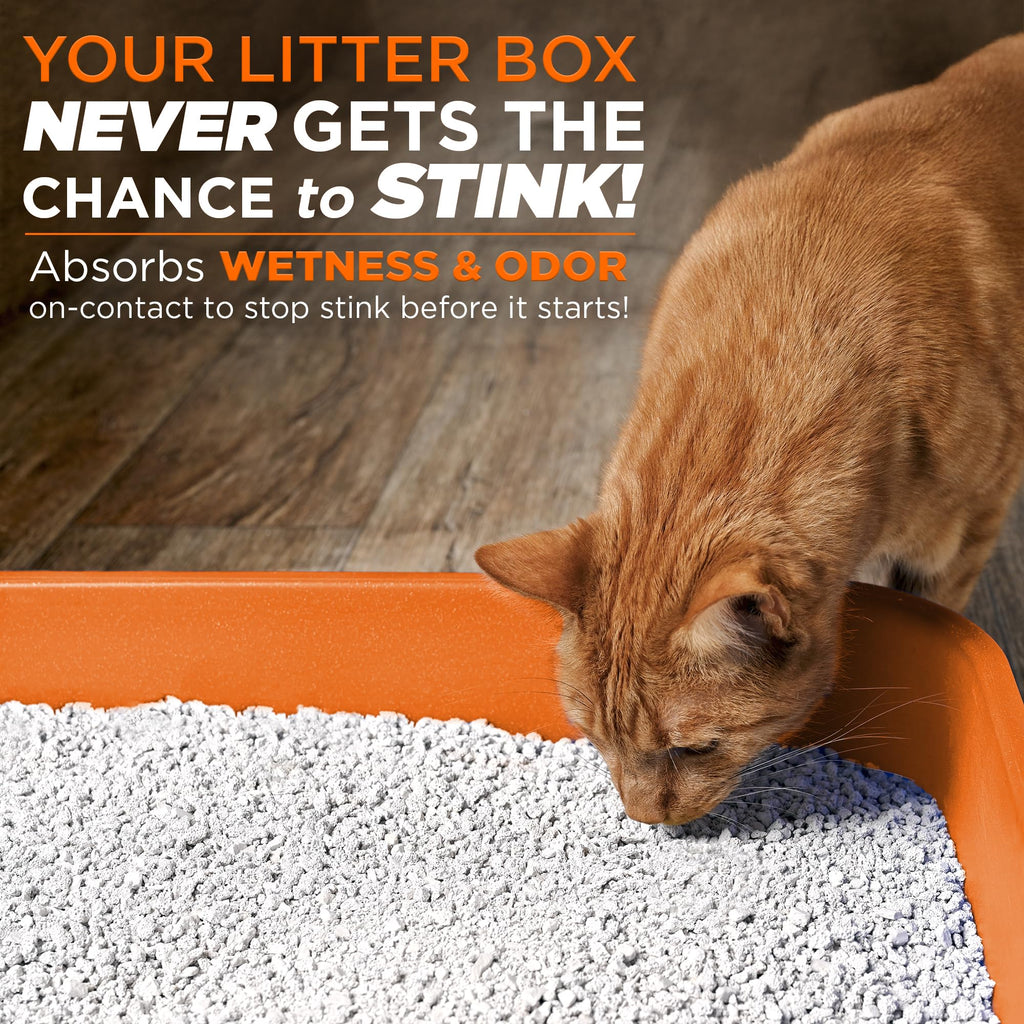 Cat Litter Odor Eliminator Additive 16 fl oz Bottle Q223